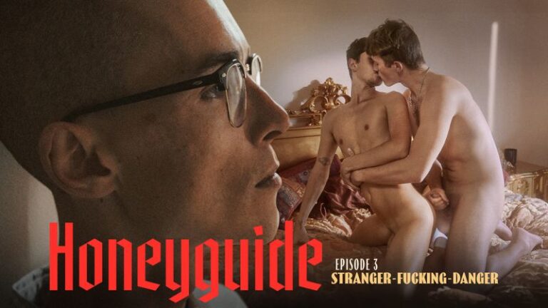 Honeyguide: Stranger – Fucking – Danger