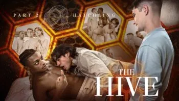 The Hive: Hatchling